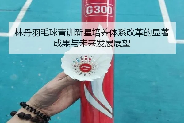 林丹羽毛球青训新星培养体系改革的显著成果与未来发展展望