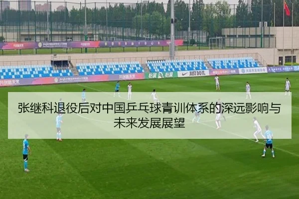 张继科退役后对中国乒乓球青训体系的深远影响与未来发展展望
